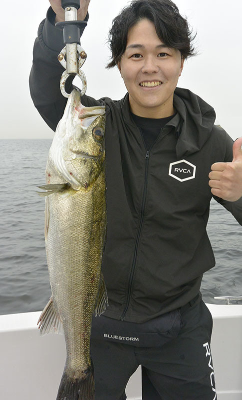 シーバス(スズキ)