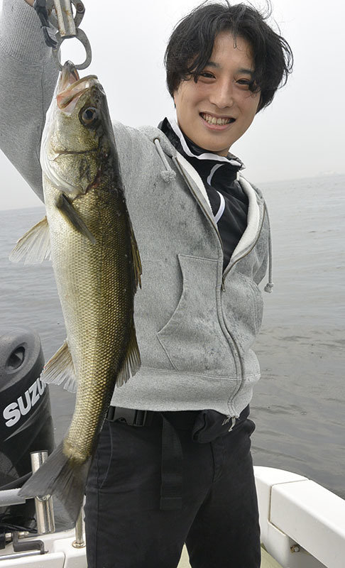 シーバス(スズキ)