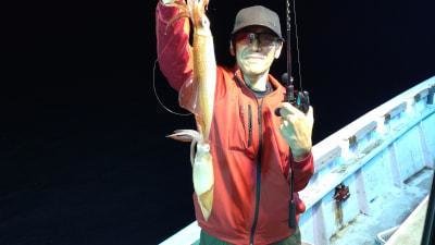 マイカ(ケンサキイカ)