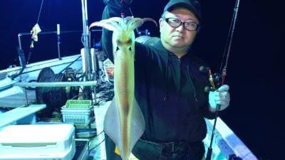 マイカ(ケンサキイカ)