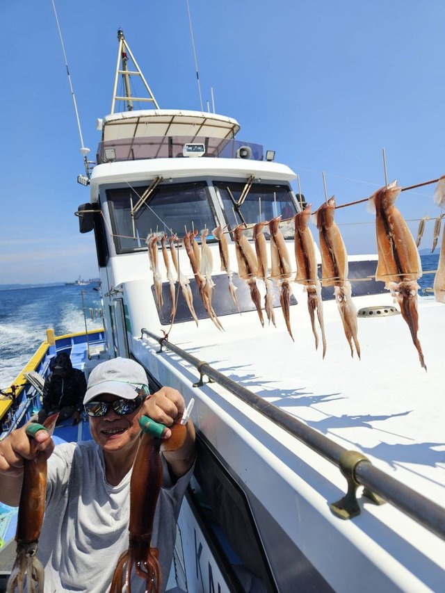 スルメ(スルメイカ)