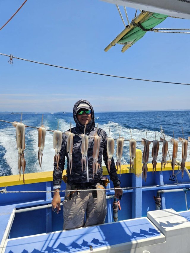 スルメ(スルメイカ)