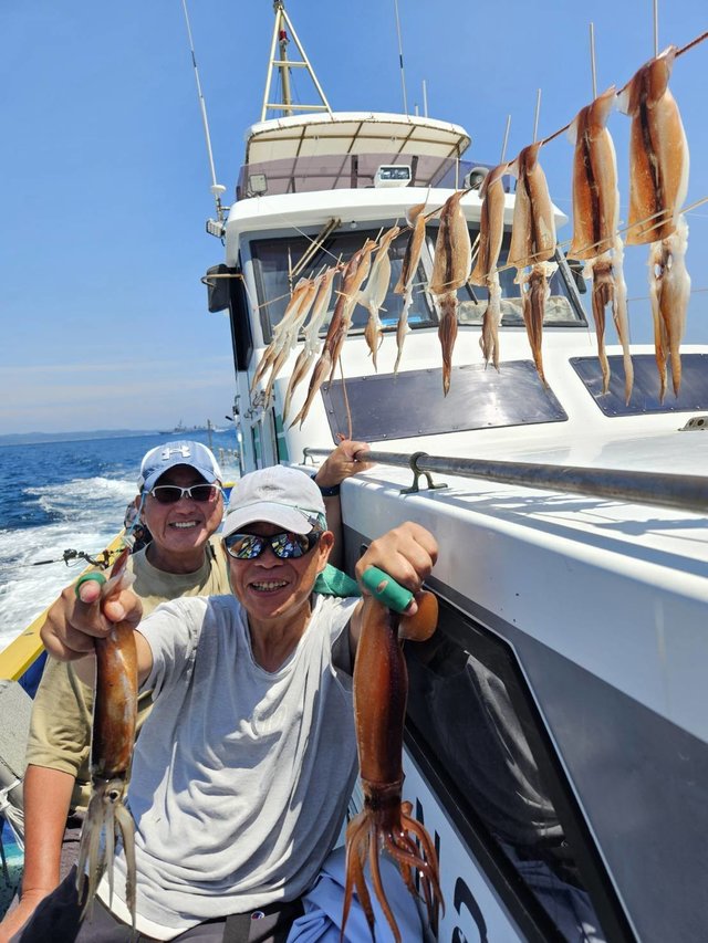 スルメ(スルメイカ)