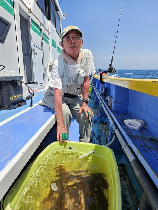 スルメ(スルメイカ)