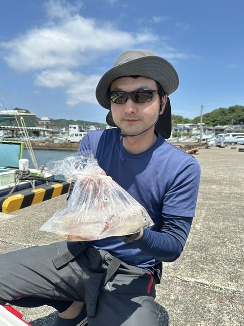 マルイカ(ケンサキイカ)