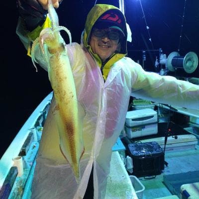 マイカ(ケンサキイカ)