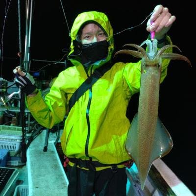 マイカ(ケンサキイカ)