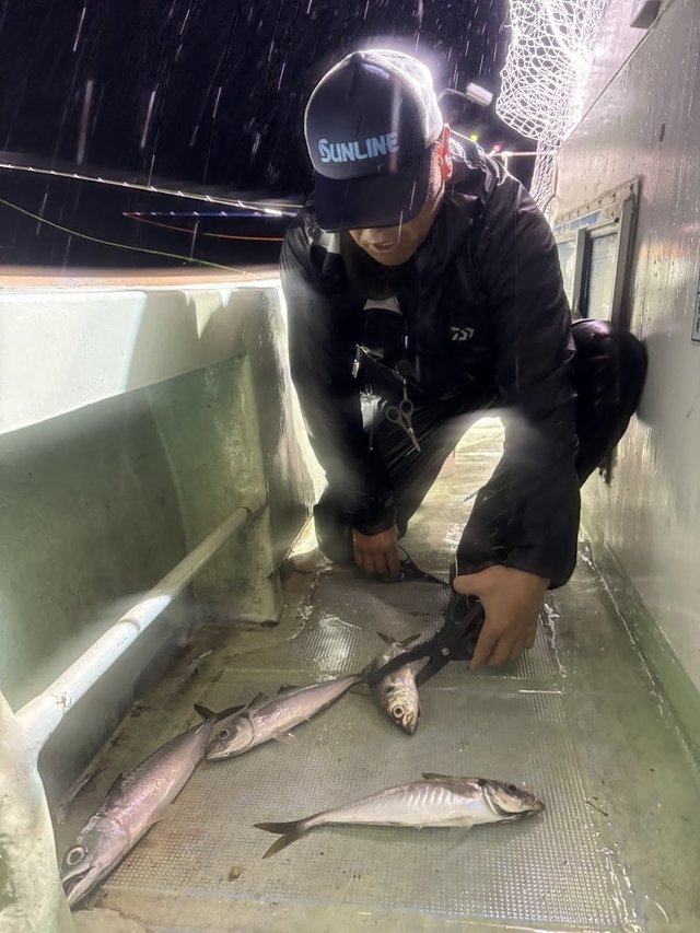 アジ(マアジ)・サバ(ゴマサバ)