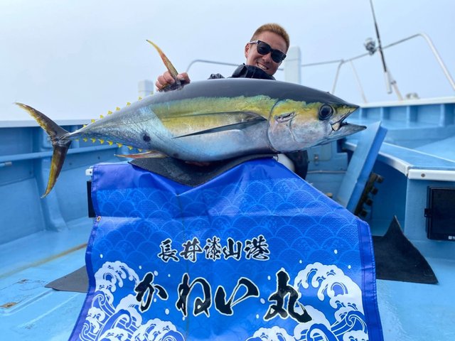 キハダマグロ(キハダ)