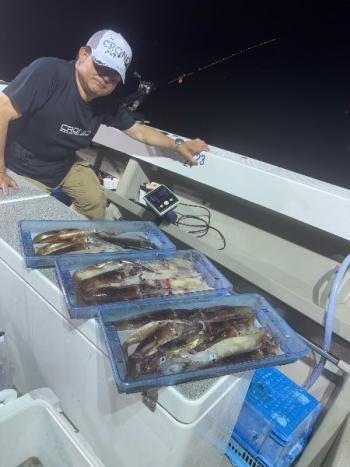 スルメ(スルメイカ)・マイカ(ケンサキイカ)