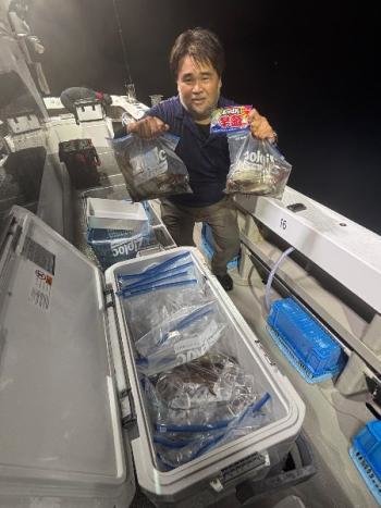 スルメ(スルメイカ)・マイカ(ケンサキイカ)