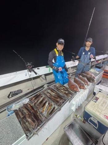 マダイ・スルメ(スルメイカ)・マイカ(ケンサキイカ)