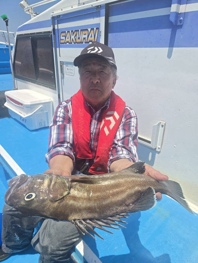 イシナギ(オオクチイシナギ)