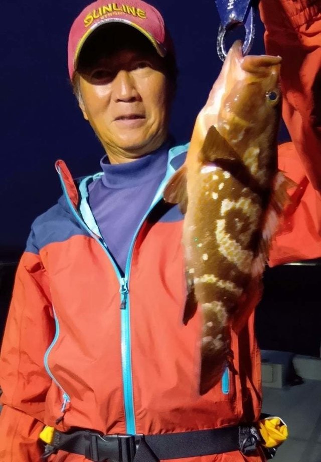 アコウ(キジハタ)