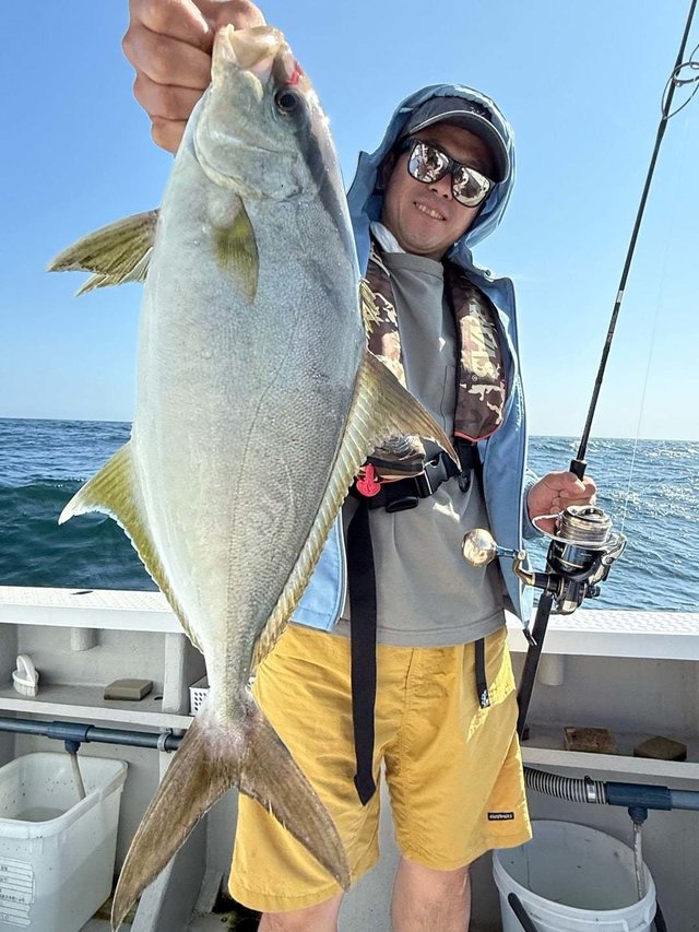 ヒレナガカンパチ