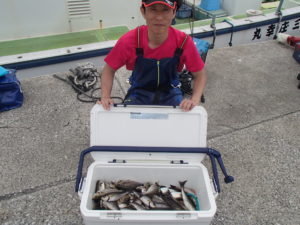 マアジ・イサキ