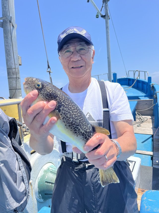 ショウサイフグ