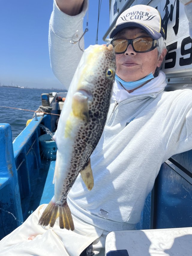 ショウサイフグ