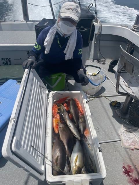 イサキ・アラカブ(カサゴ)