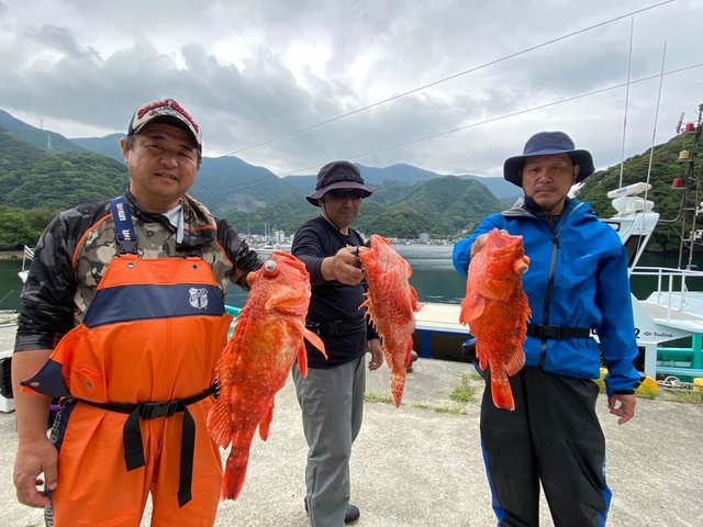 オニカサゴ・カンコ(ウッカリカサゴ)