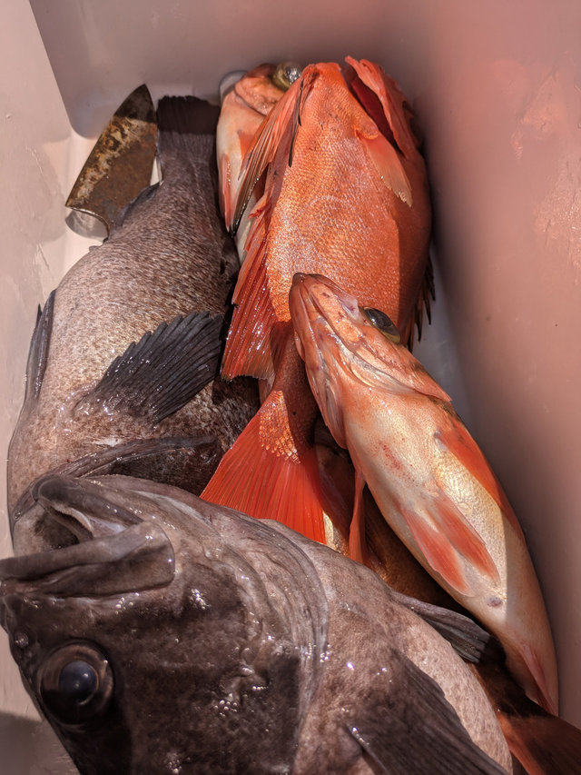 アラ・キンメ(キンメダイ)