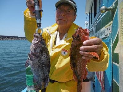 ソイ(クロソイ)・カサゴ