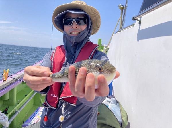 ショウサイフグ