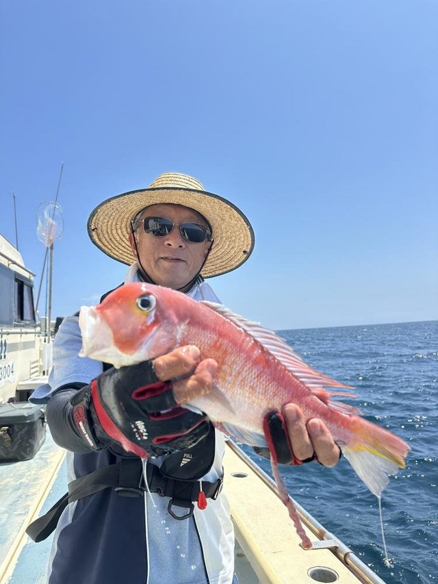 アマダイ(アカアマダイ)