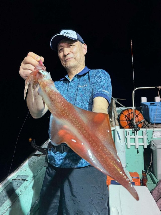 イカ(ケンサキイカ)