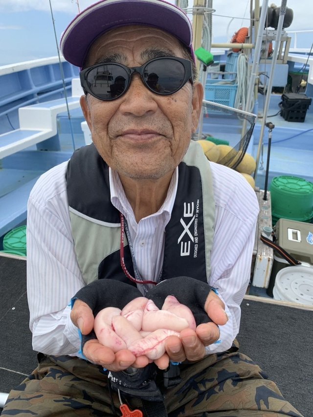 ショウサイフグ