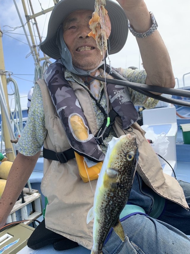 ショウサイフグ