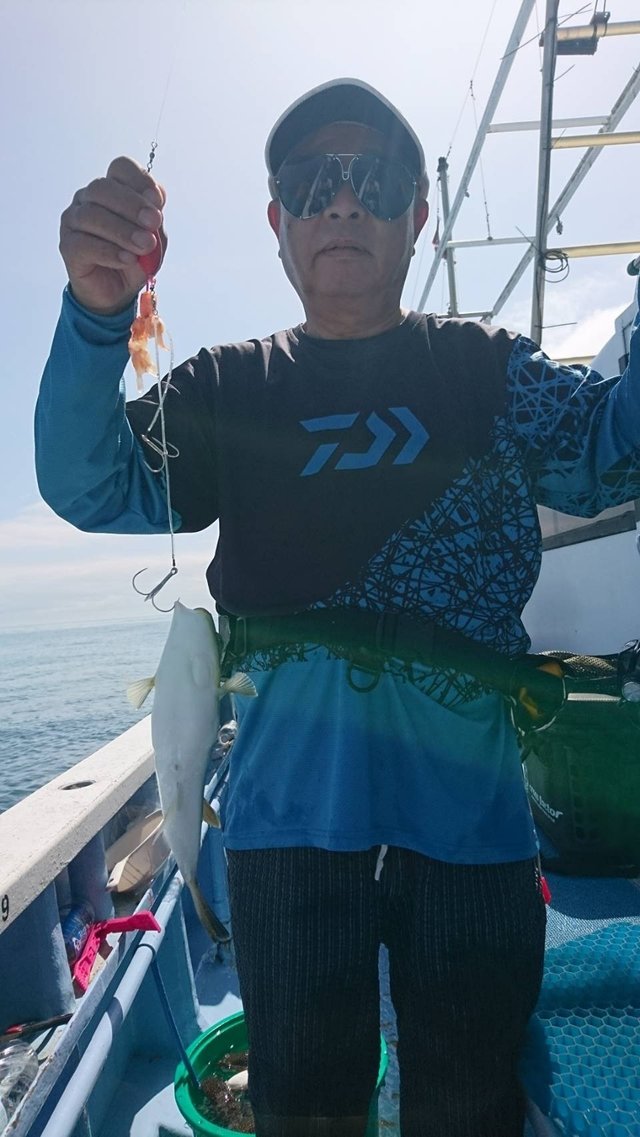 ショウサイフグ