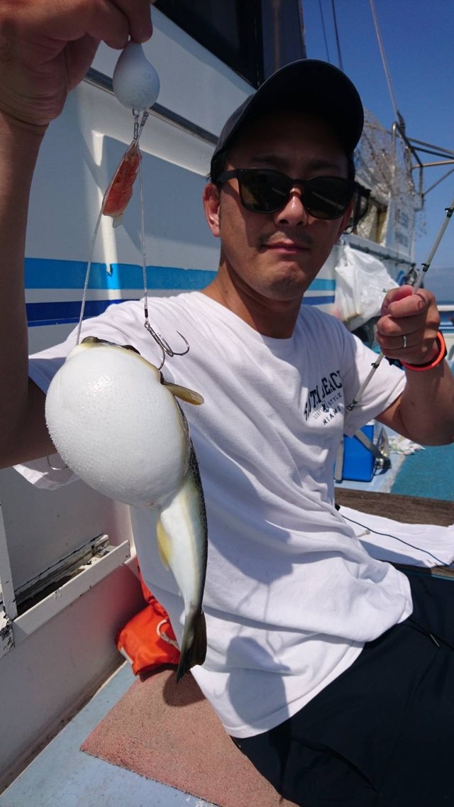 ショウサイフグ