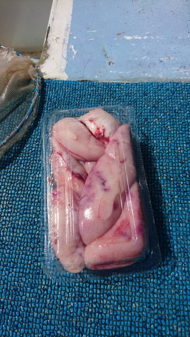 ショウサイフグ