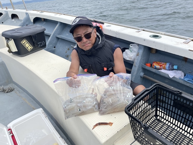 マルイカ(ケンサキイカ)