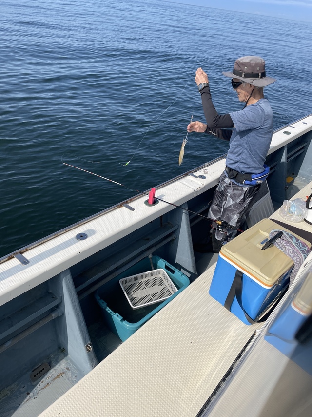 マルイカ(ケンサキイカ)