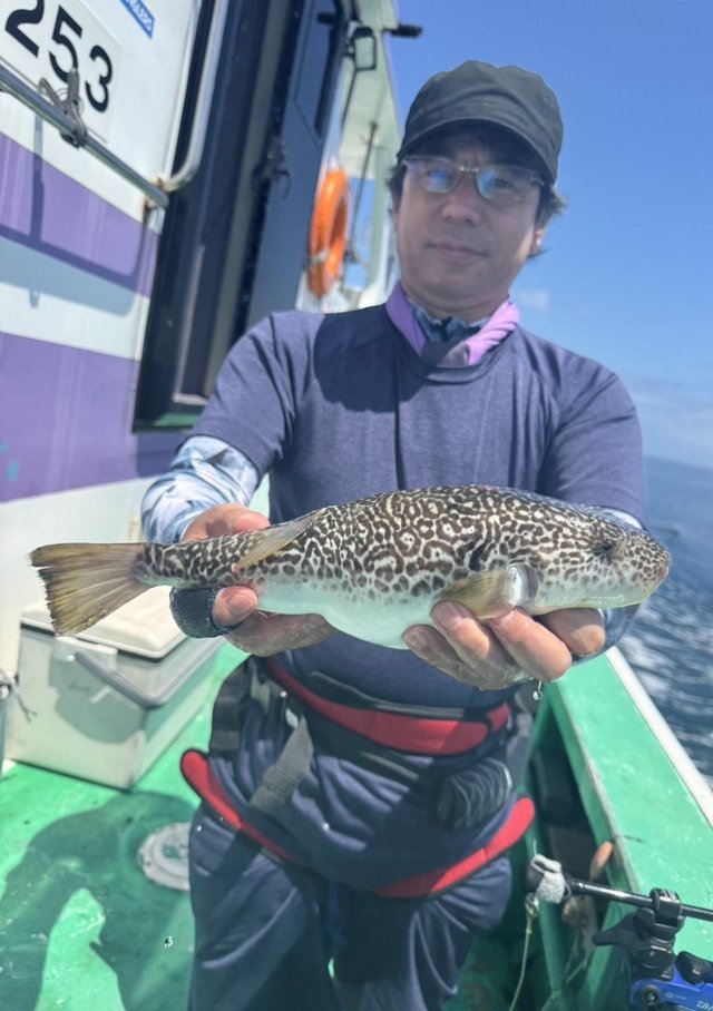 ショウサイフグ