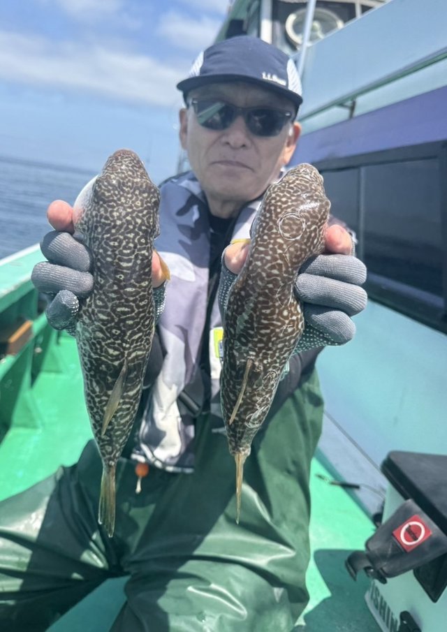 ショウサイフグ