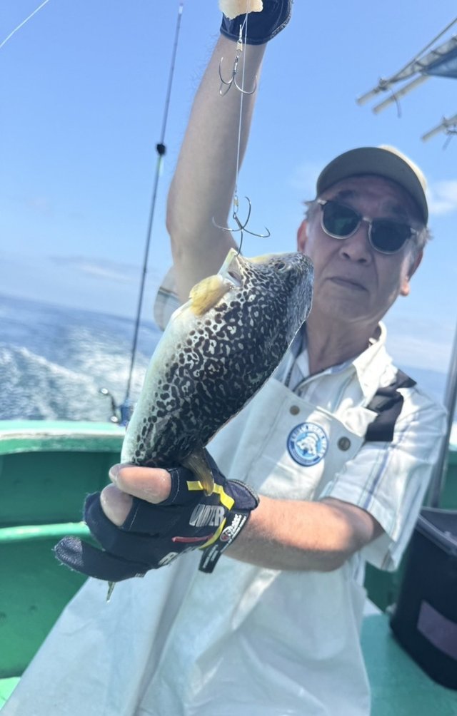 ショウサイフグ