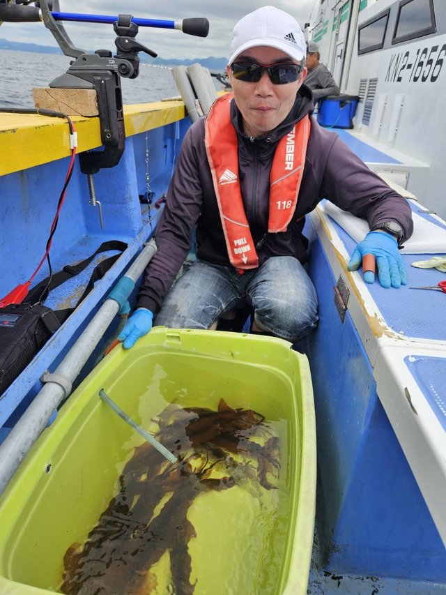 スルメ(スルメイカ)