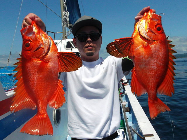 キントキ(チカメキントキ)