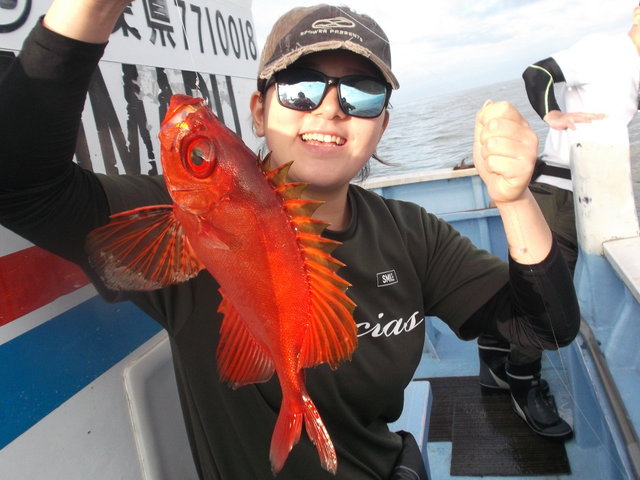 キントキ(チカメキントキ)