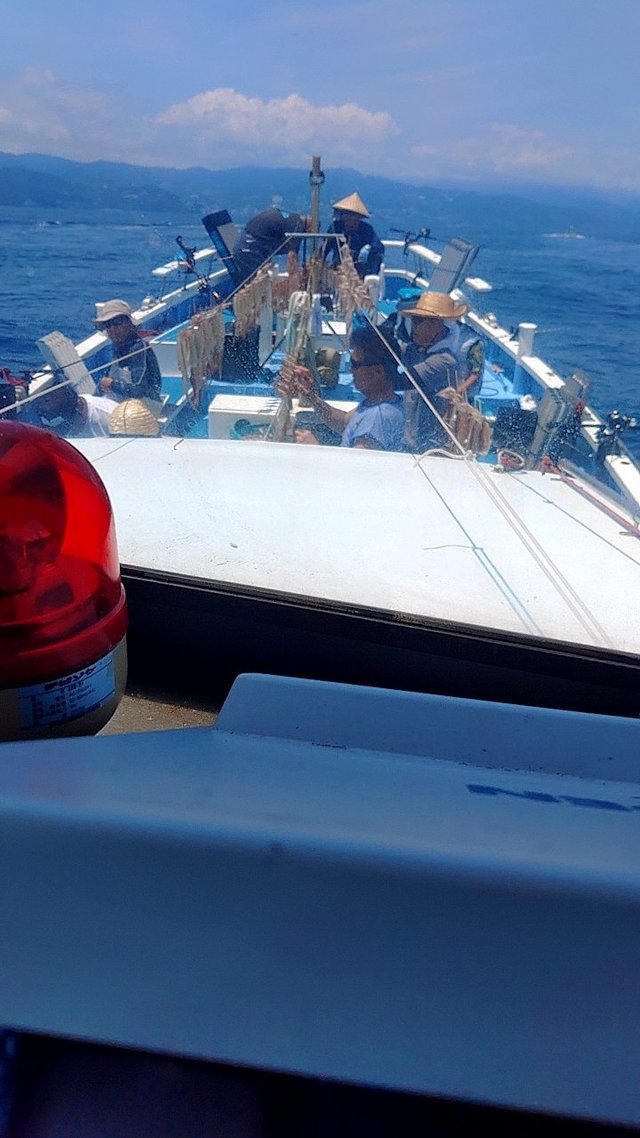 スルメ(スルメイカ)