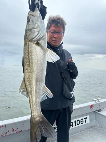 シーバス(スズキ)