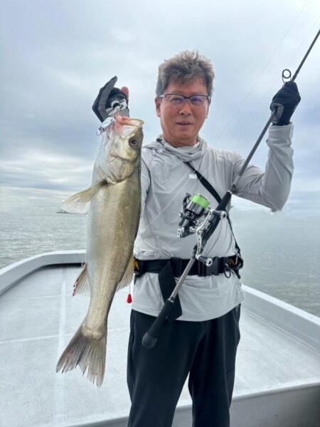 シーバス(スズキ)