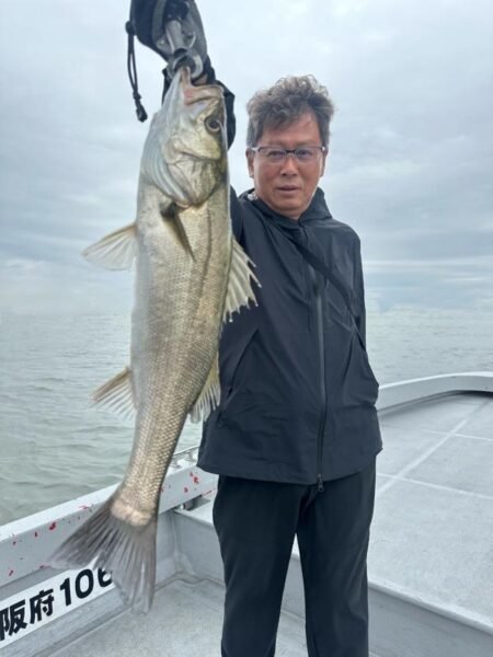 シーバス(スズキ)