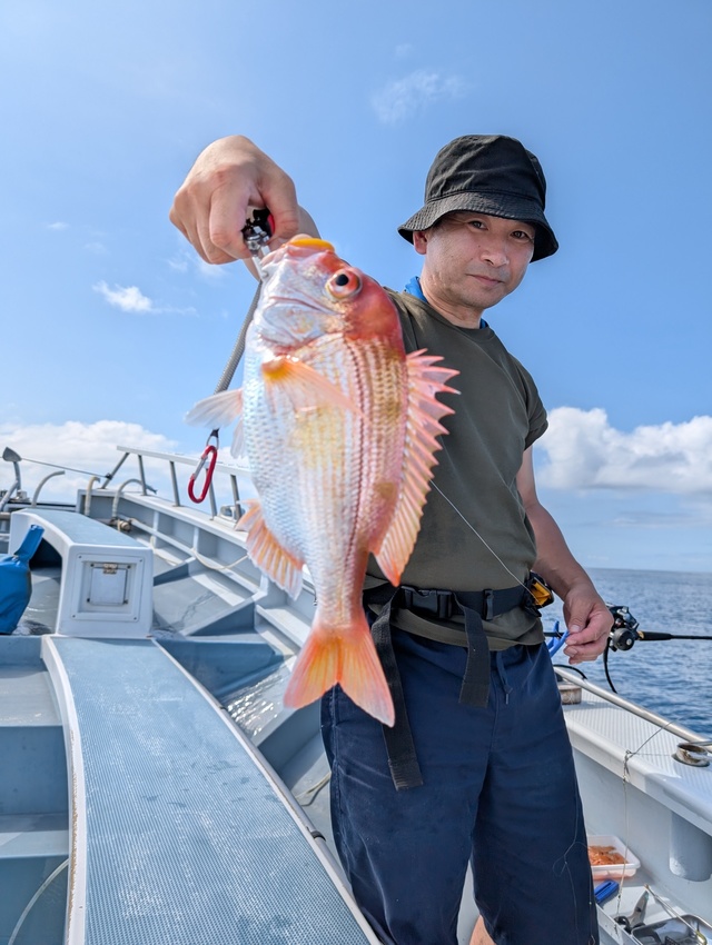 レンコダイ(キダイ)