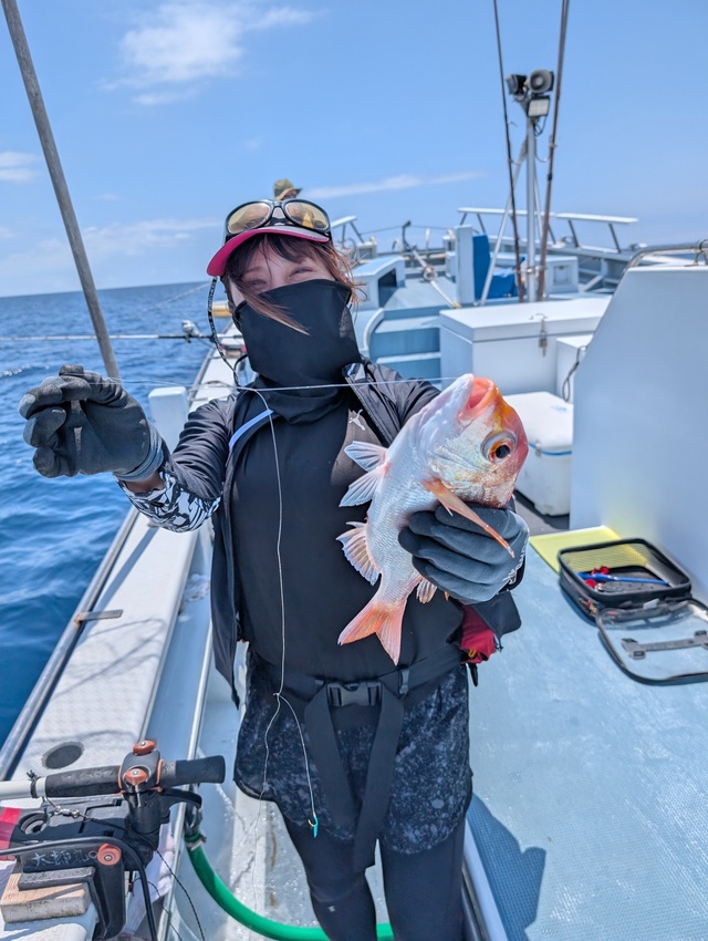 レンコダイ(キダイ)