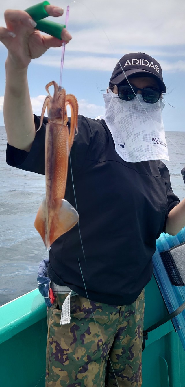 マイカ(スルメイカ)