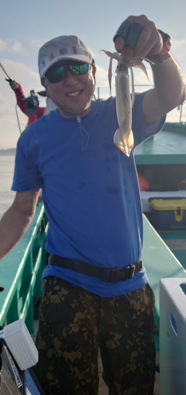 マイカ(スルメイカ)